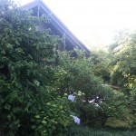 20150613_194411